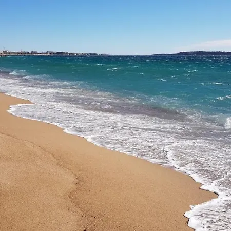 Les Pins カンヌ