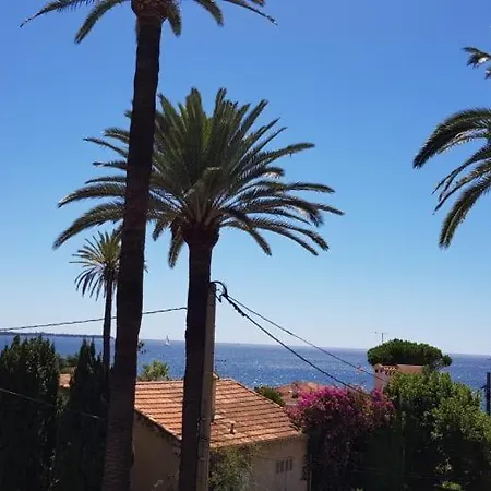 Les Pins * カンヌ