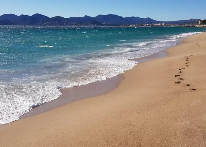 アパート Les Pins カンヌ