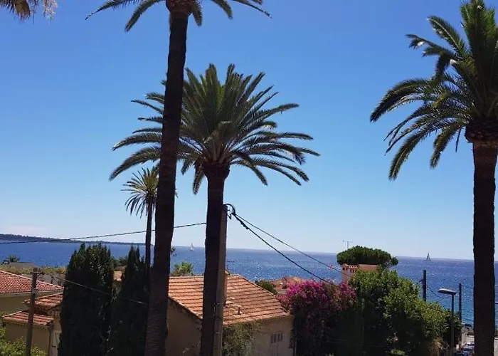 Les Pins * カンヌ