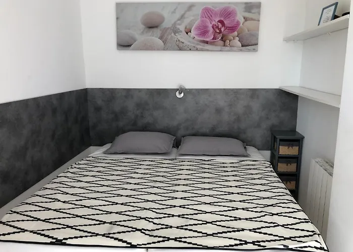 Les Pins * カンヌ